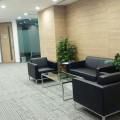 The Treasury Building | Product Seen: [Camellia 1 & 3 Seater Sofa]